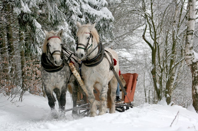 A horse-drawn sleigh ride, one of the fin things to do in the Boise area this winter.